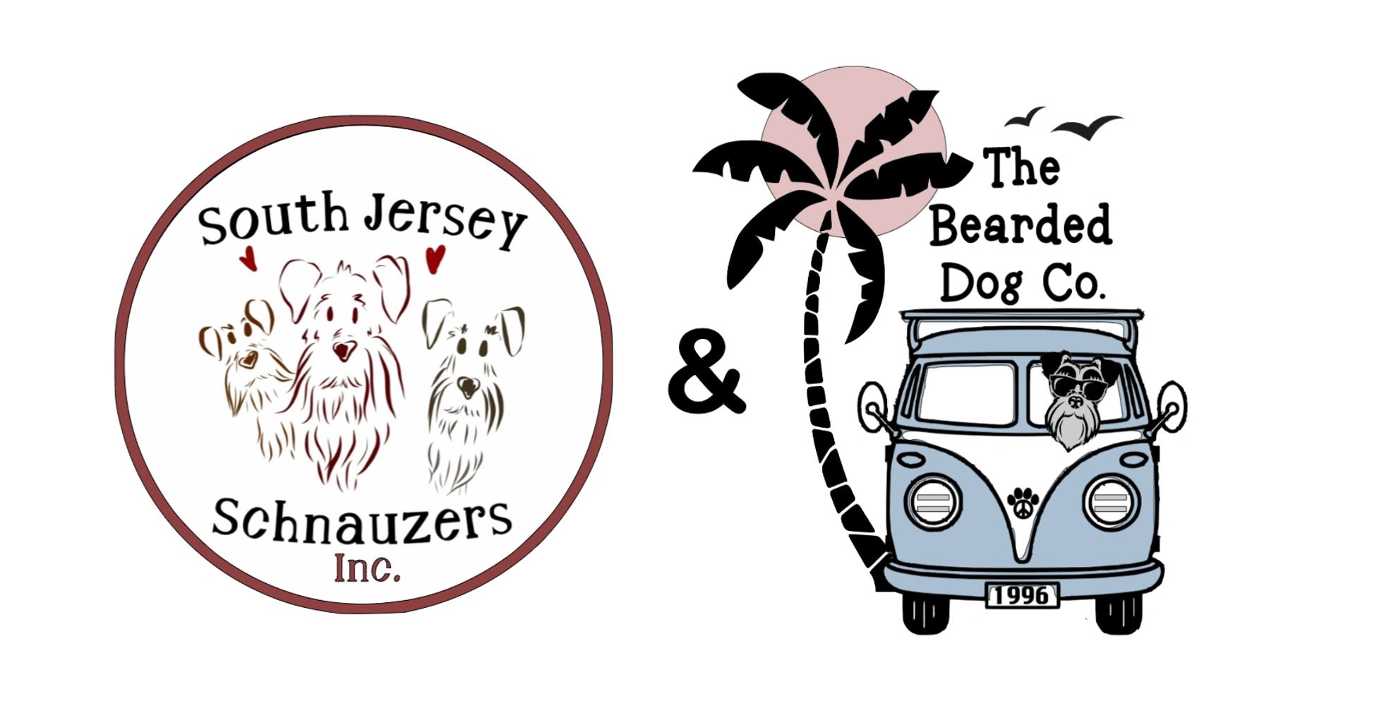 South Jersey Schnauzers Puppy, Schnauzer, Dogs